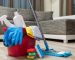 How To Clean A House Professionally